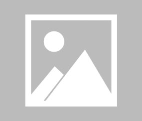 体育竞猜网站-从西亚卡姆的战术支点到规则革命，竞技场上的版本更新之争，战术支点与规则革命，西亚卡姆时代的竞技场版本更新之争